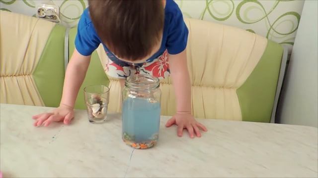 Аквариум своими руками!