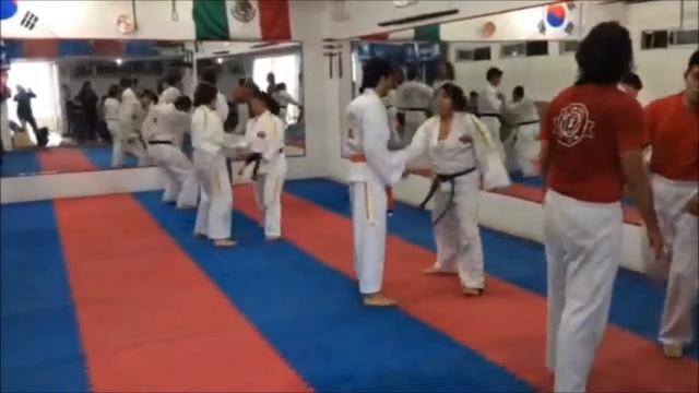 Hosinsool Hapkido Espiritu Marcial