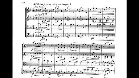 Johannes Brahms - String Quartet No. 3 in B-Flat Major, Op. 67