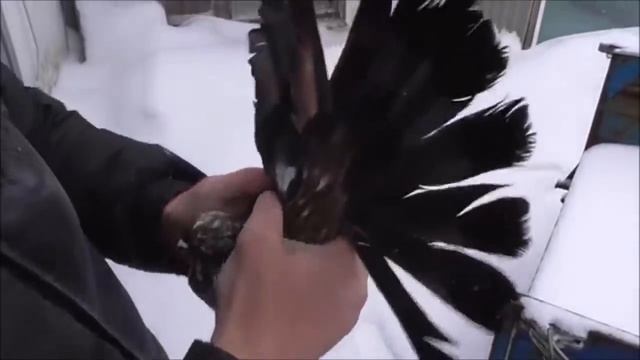 В гостях у Ромы Галавина, г. Донецк.