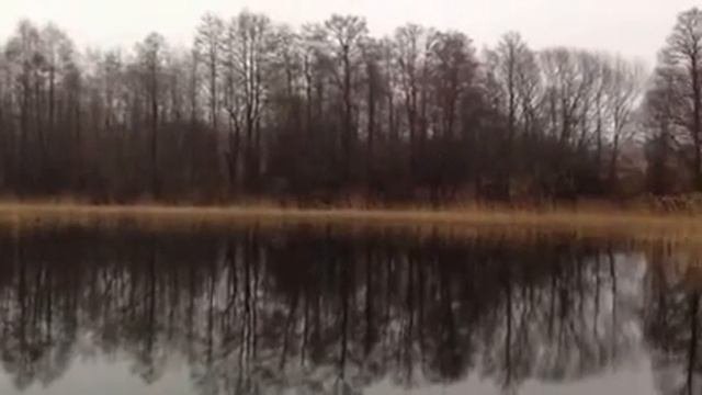 Диалоги ^О^ Бухалке:)-