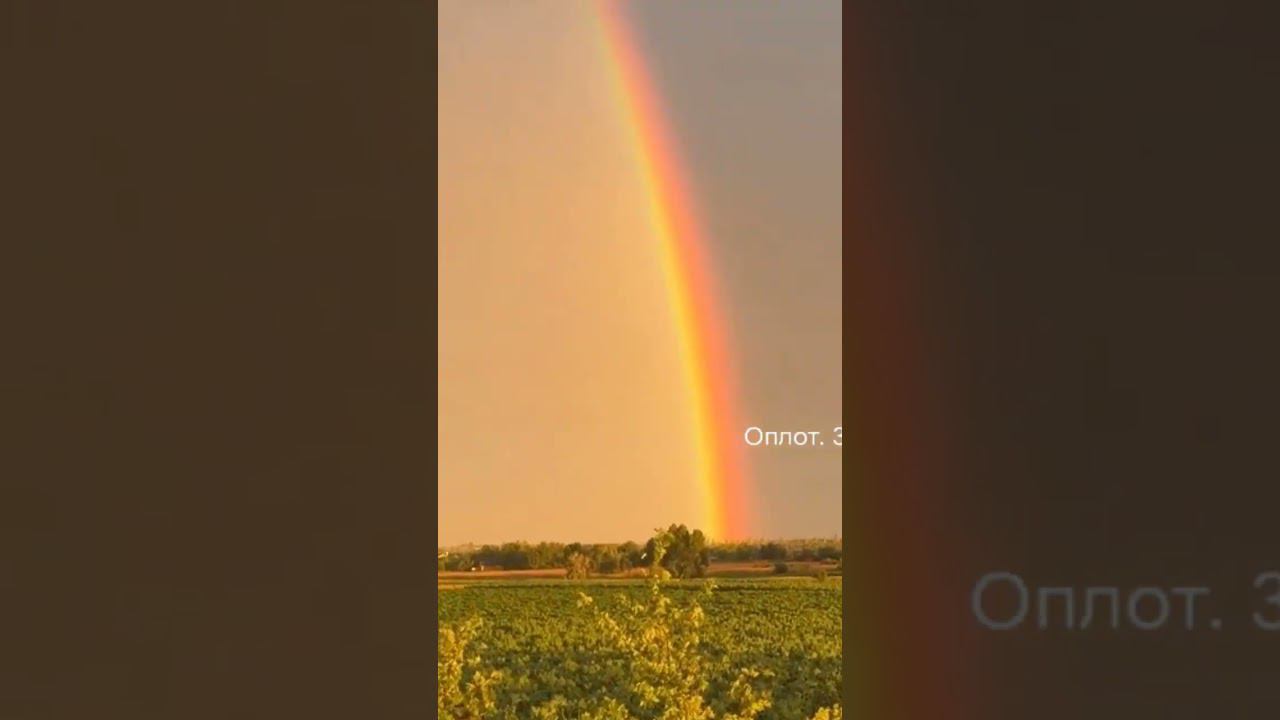 Zона СВО 20.06.24