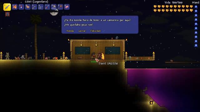 Todo sobre los NPC: Pirata | Terraria 1.4|