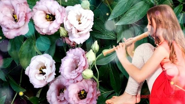 Услышав как дочка играет на дудочке знакомую мелодию Полина зарыдала Истории любви до слез