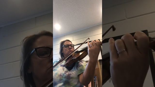 Vivaldi Largo from “winter”