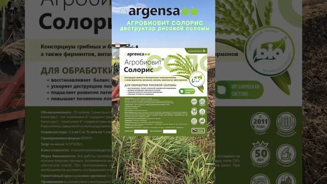 Деструкция рисовой соломы