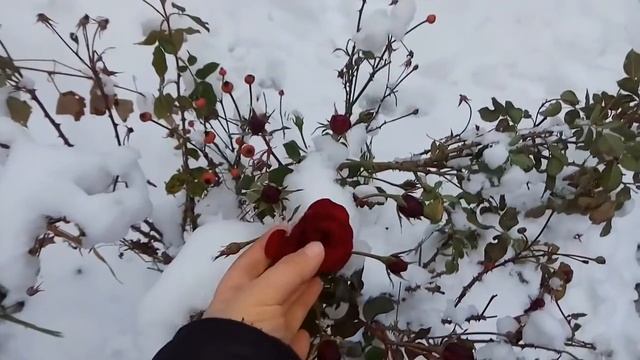 Коротенький влог,скоро будет новый стол!!