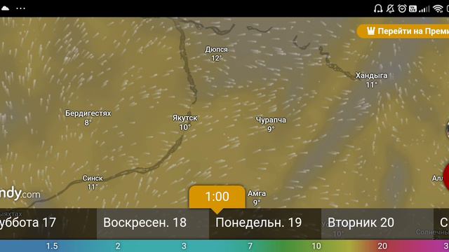 Прогноз погоды 16-21 августа 2024 от windy.com