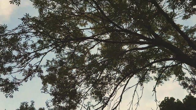 Лена Sun - Крылья Любви на Чудесных Холмах