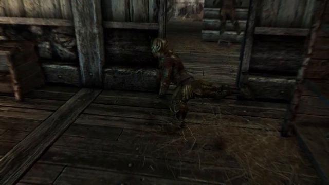 Мысли Довакина. #26 Свобода и сведения. TES V Skyrim