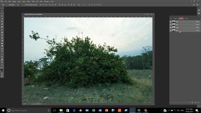 Photoshop Natural Fantasy Photo Manipulation Tutorial  Flower Girl Part1