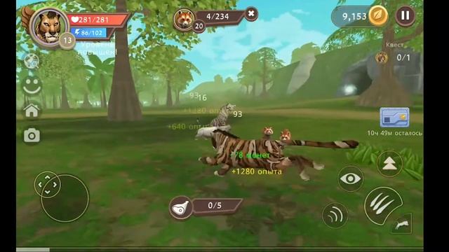 Прокачал тигра до 16 уровня в WildCraft. Первый малыш в семье тигров.