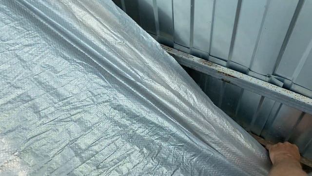 Как сохранить посевы семян хвойных растений,для чего нужно укрытие посевам!Питомник 