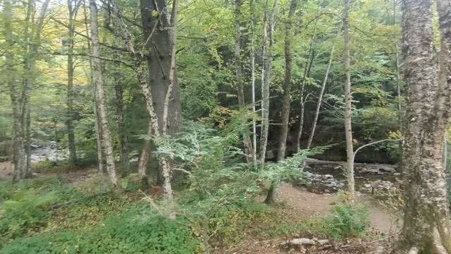 ОДНО ИЗ 10 КРАСИВЫХ МЕСТ ВЕРМОНТА !