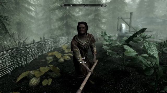 How to finish/fix? Falkreath Thane quest, 3rd assist if stuck. [Skyrim]