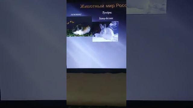 Природные зоны России