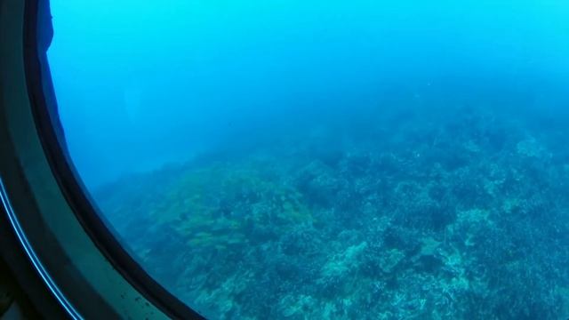 Затонувший корабль, Подводная лодка Атлантис / journey on a submarine Atlantis, Hawaii
