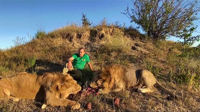 Разговор среди львов ! ХВАТИТ ЛИ ВОДЫ ПАРКУ ?