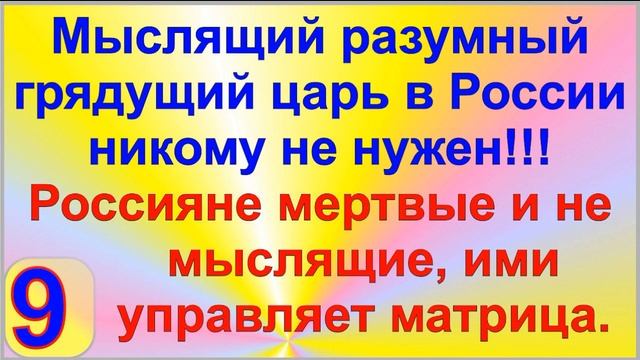Общественно государственная система развития интеллекта и образования для людей. Грядущий царь.