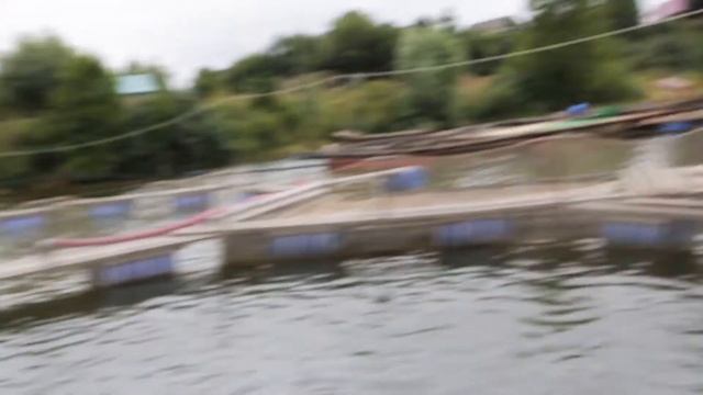 Как хлорелла влияет на воду в водоеме? Хлорелла Альготек на рыбном хозяйстве Тучковском.