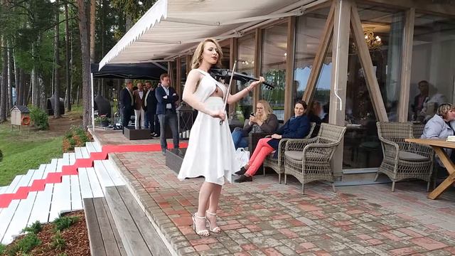 Violin (Silene Resort & SPA Latvia)