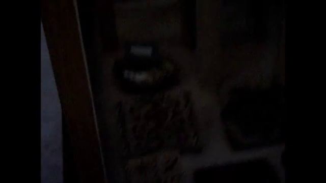 Video PLBJ Batik Kelas 1B