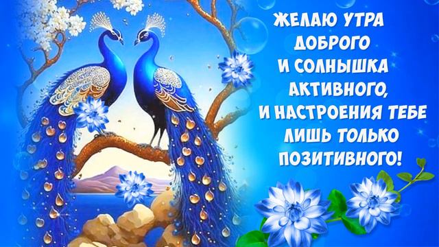 Доброе утречко!
