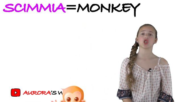 Animals in Italian with Aurora (video 2)