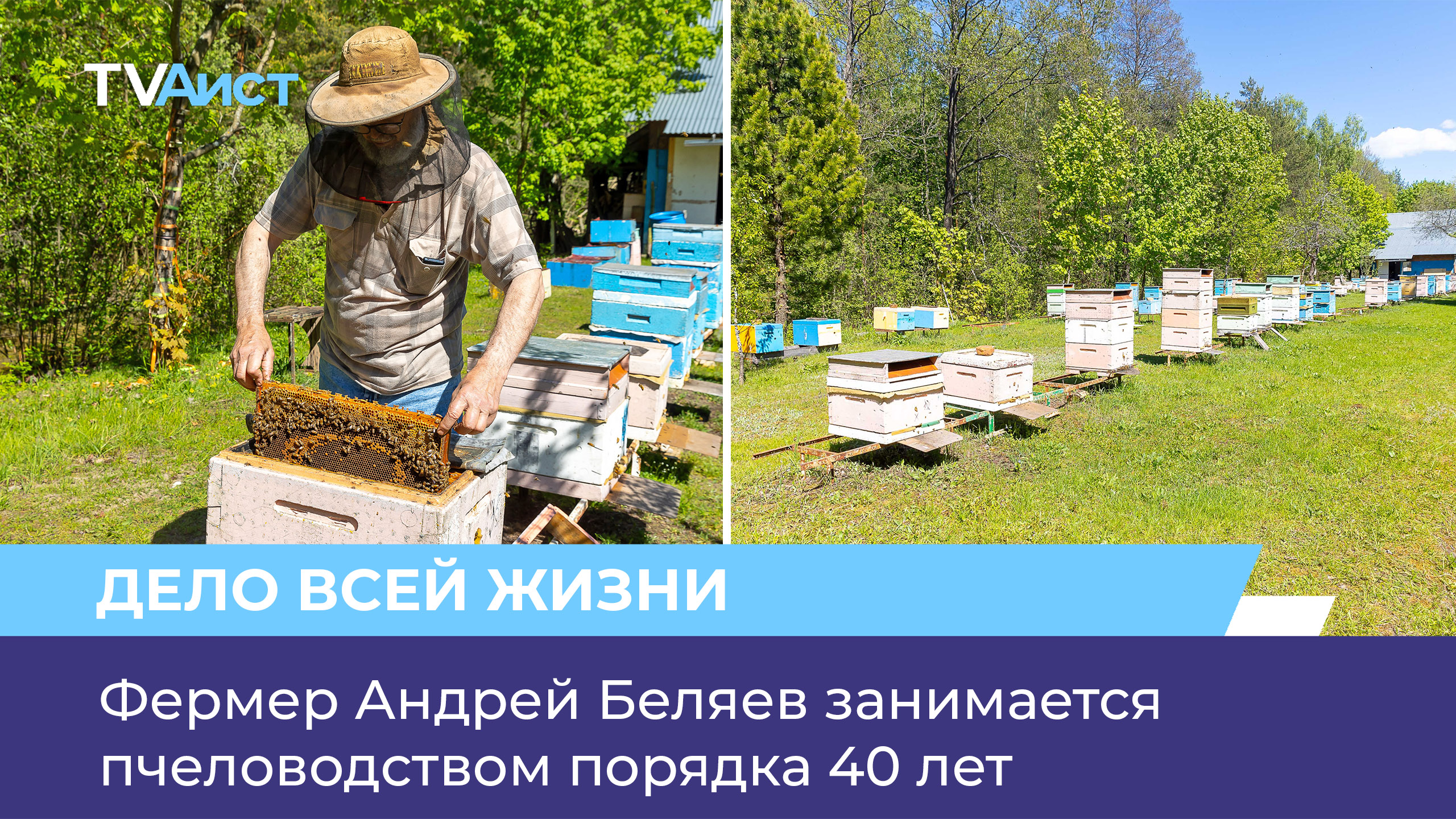 Фермер Андрей Беляев занимается пчеловодством порядка 40 лет