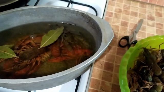 ЖИВЫЕ РАКИ || ПРОБУЮ ПЕРВЫЙ РАЗ ВАРИТЬ РАКОВ || ПРАВДА ЛИ ВКУСНЫЕ ВАРЁНЫЕ РАКИ??? || ВЛОГ