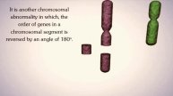 Chromosomal Aberrations | Deletion | Duplication | Inversion | Translocation