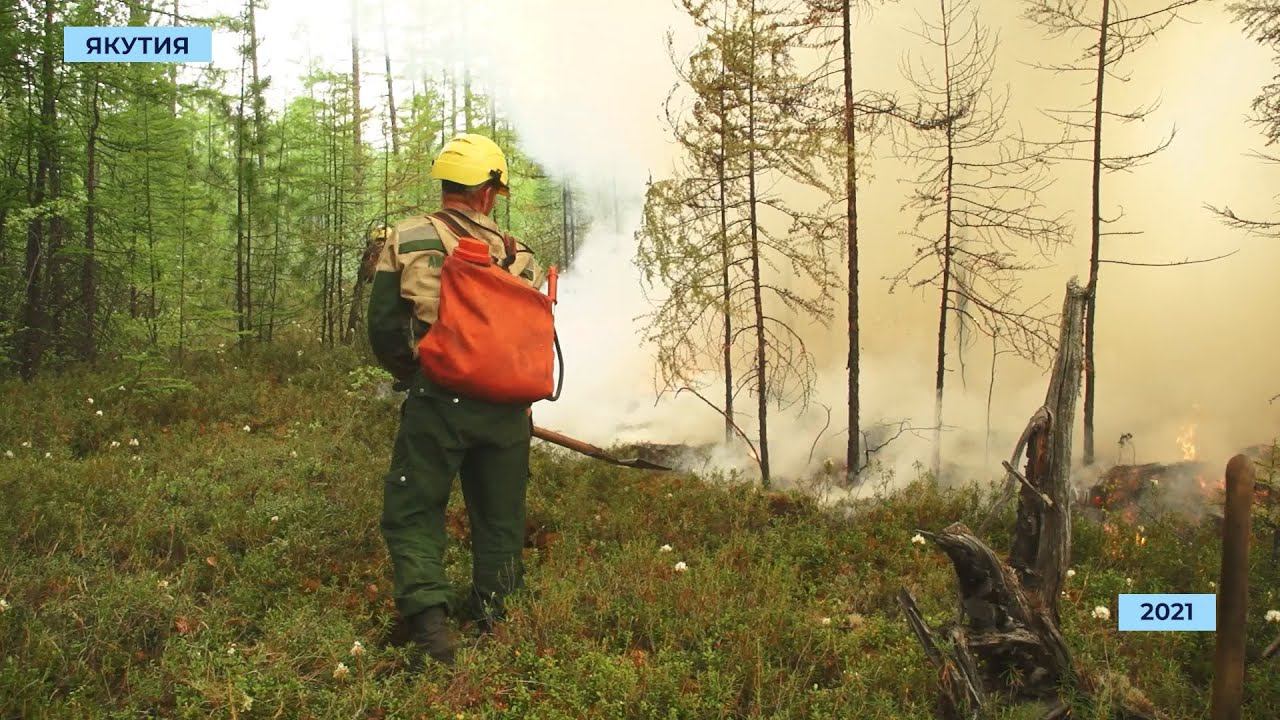 «Авиалесоохрана» тушит новый пожар в 62 километрах от посёлка Чернышевский