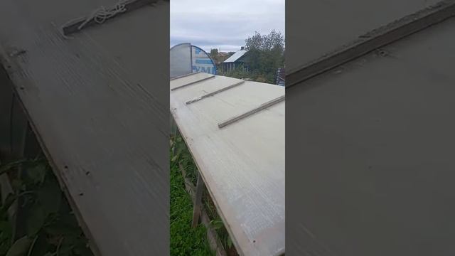грядки с крышей над помидорами от фитофторы.
