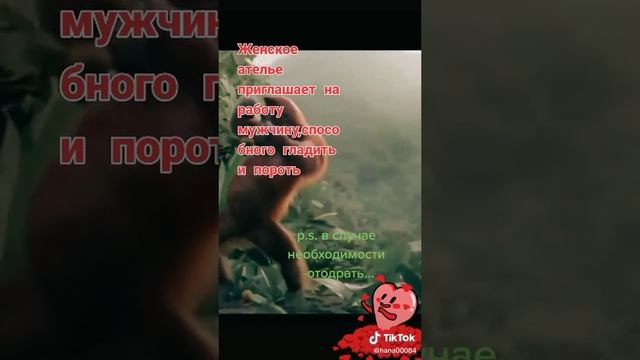 Приглашают на работу.mp4