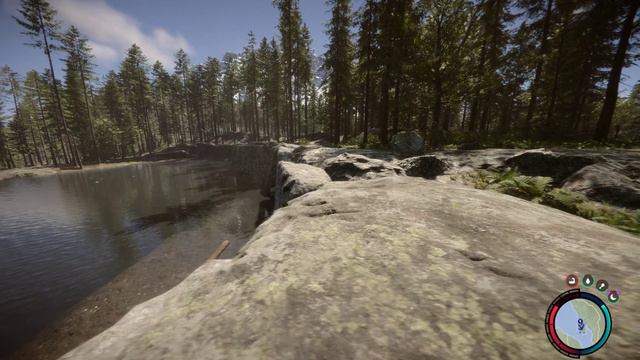 летсплей по sons of the forest с ратаном Димончиком жопа