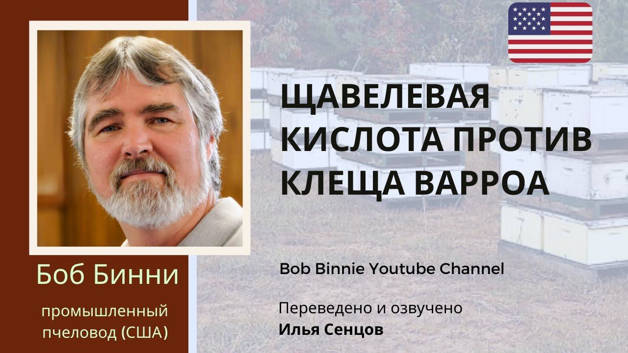 Почему промышленный пчеловод Боб Бинни выбирает щавелевую кислоту против клеща Варроа (США)