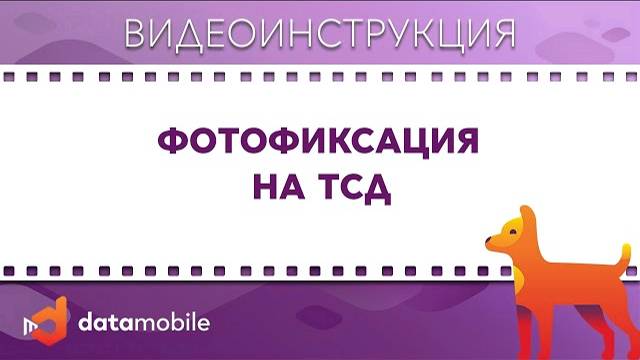 DataMobile 3: Фотофиксация на ТСД