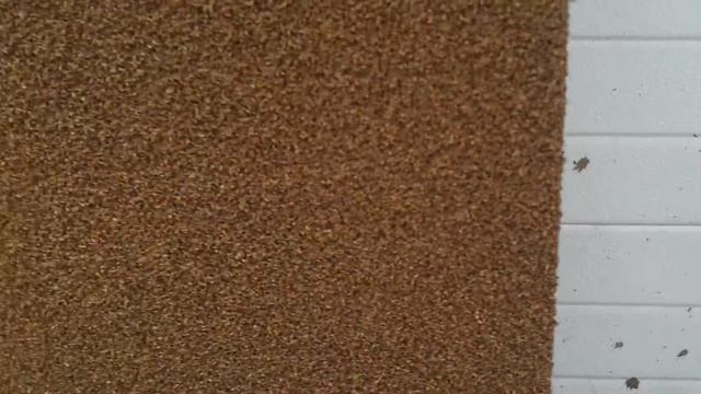 уникальное жидкое пробковое покрытие nanoCORK   jpcm@bk.ru
