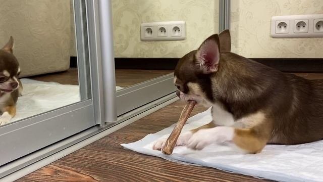 Клево!