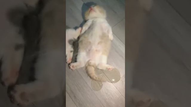 Энурез