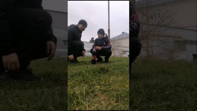 Кола+ментос 2 часть.