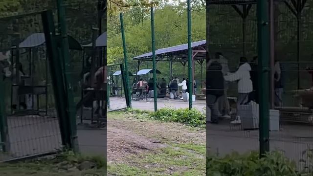 Москва массовам драка произошла в праздники на площадке для пикника в Терлецком парке.