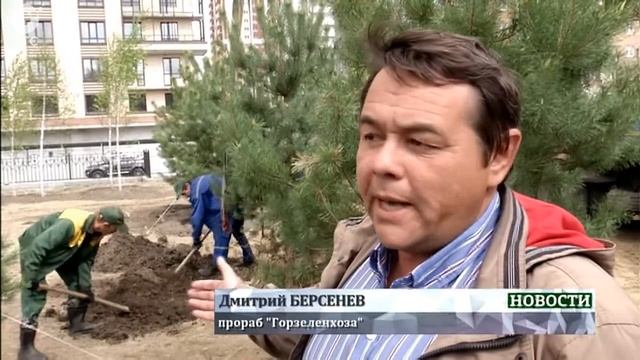 В Новосибирске начали преображать Нарымский сквер