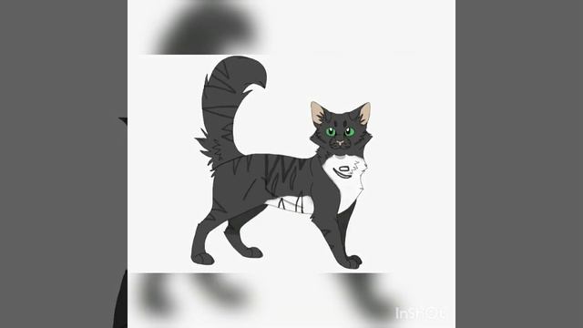 Смерть котов воителей