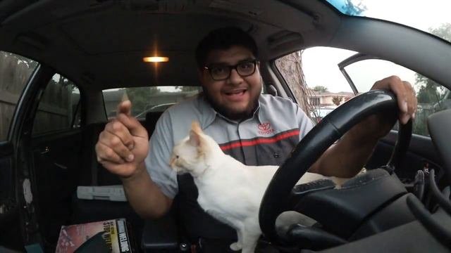 Celica GT-S update video 82318