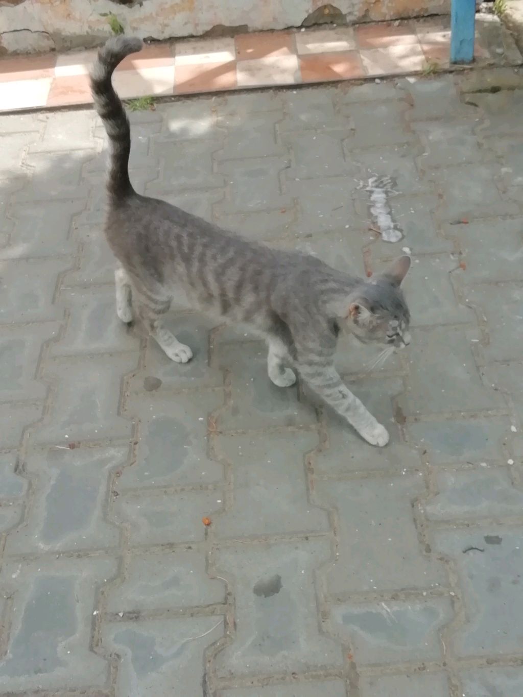 Обзор дома