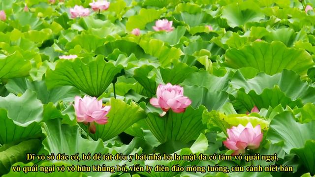 Bát Nhã Tâm Kinh (21 biến) | TT. Thích Trí Thoát