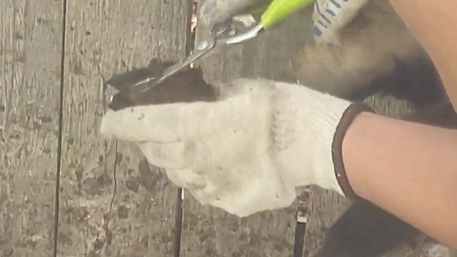 Что творится в стаде.Таскаю козлов.Делаю уколы.Стригу копыта