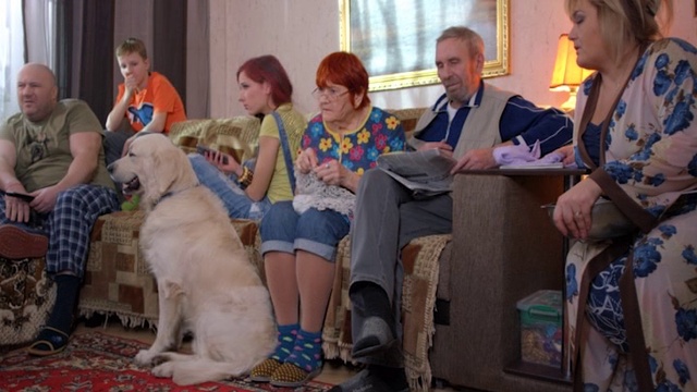 10 вопросов о ДТД_Серия 1