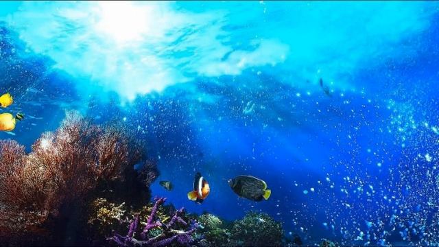 Relaxation! Нежный и крепкий СОН, глубокий релакс и успокоение!